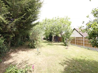 Picture 20